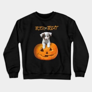 Halloween Dog Crewneck Sweatshirt